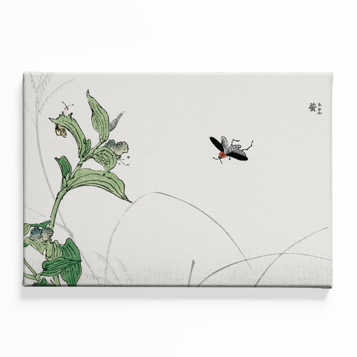 Fluttering Grace Canvas acrylic canvas Frames