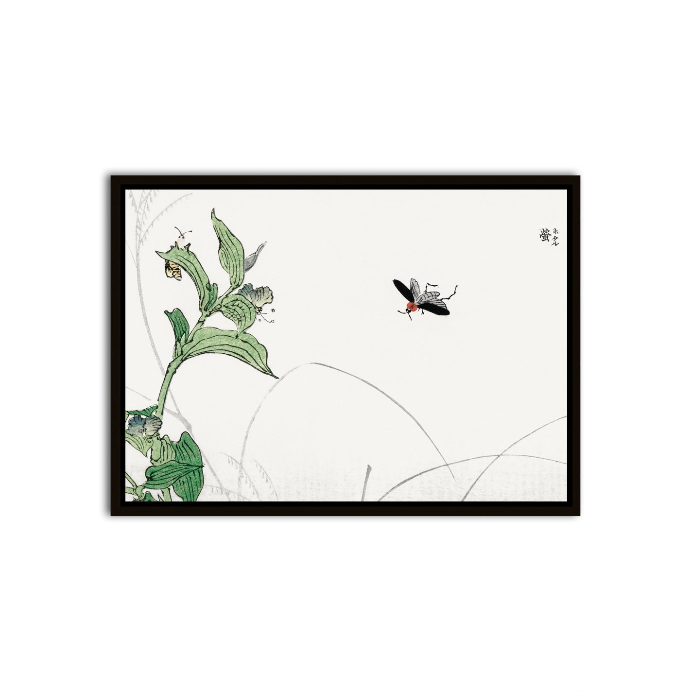 Fluttering Grace Black Canvas frame acrylic canvas Frames