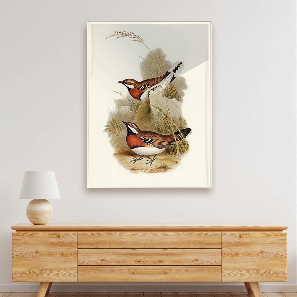 Antique bird Acrylic acrylic canvas Frames