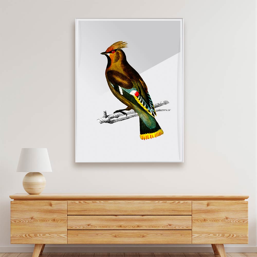 Bohemian waxwing Acrylic acrylic canvas Frames