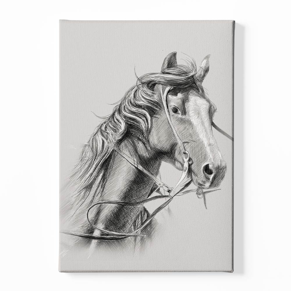 Horse Canvas acrylic canvas Frames