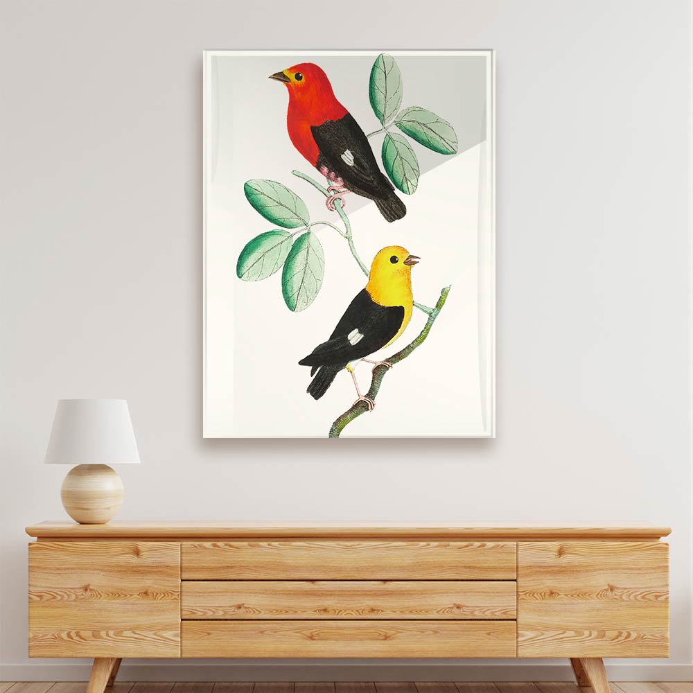 Colourful bird Acrylic acrylic canvas Frames