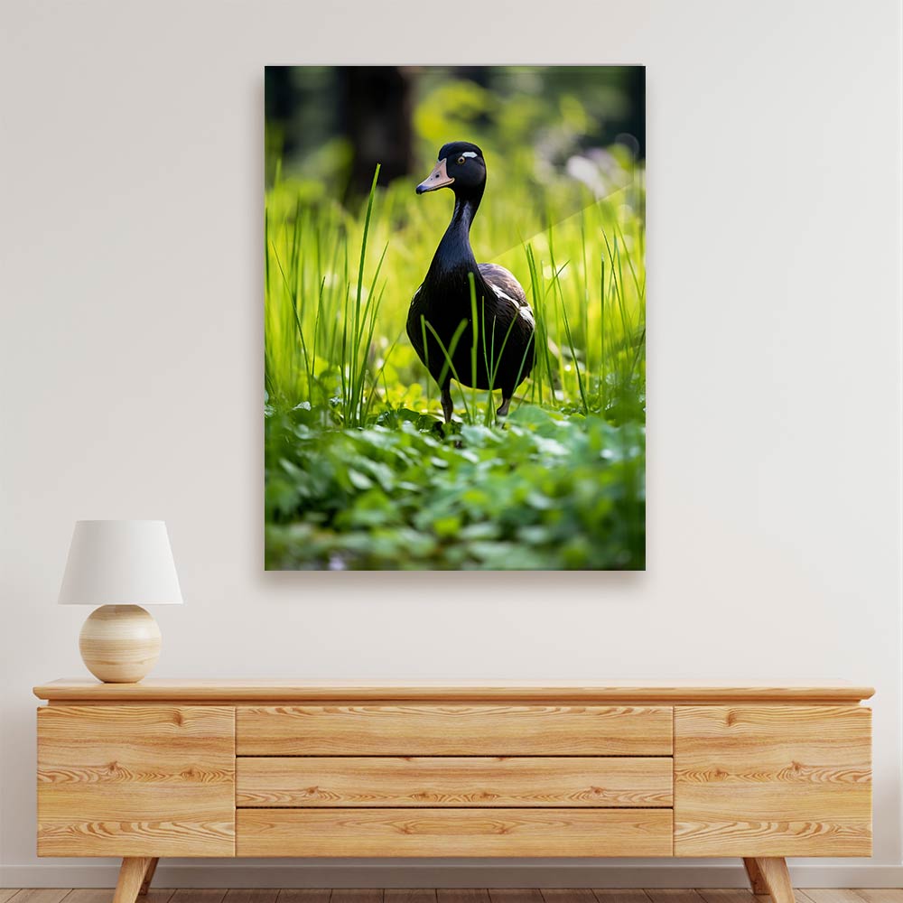 Duck Acrylic acrylic canvas Frames