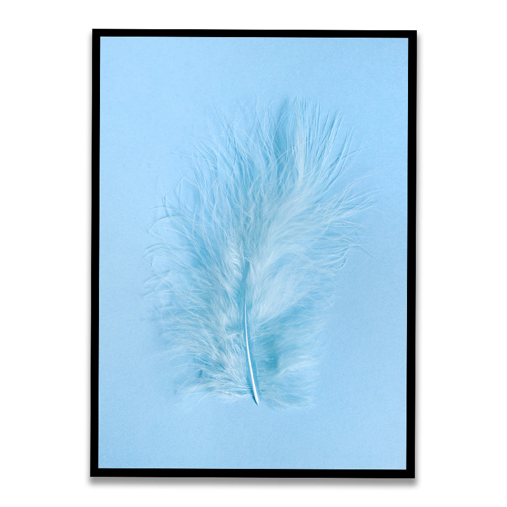 Minimalism Feather acrylic canvas Frames