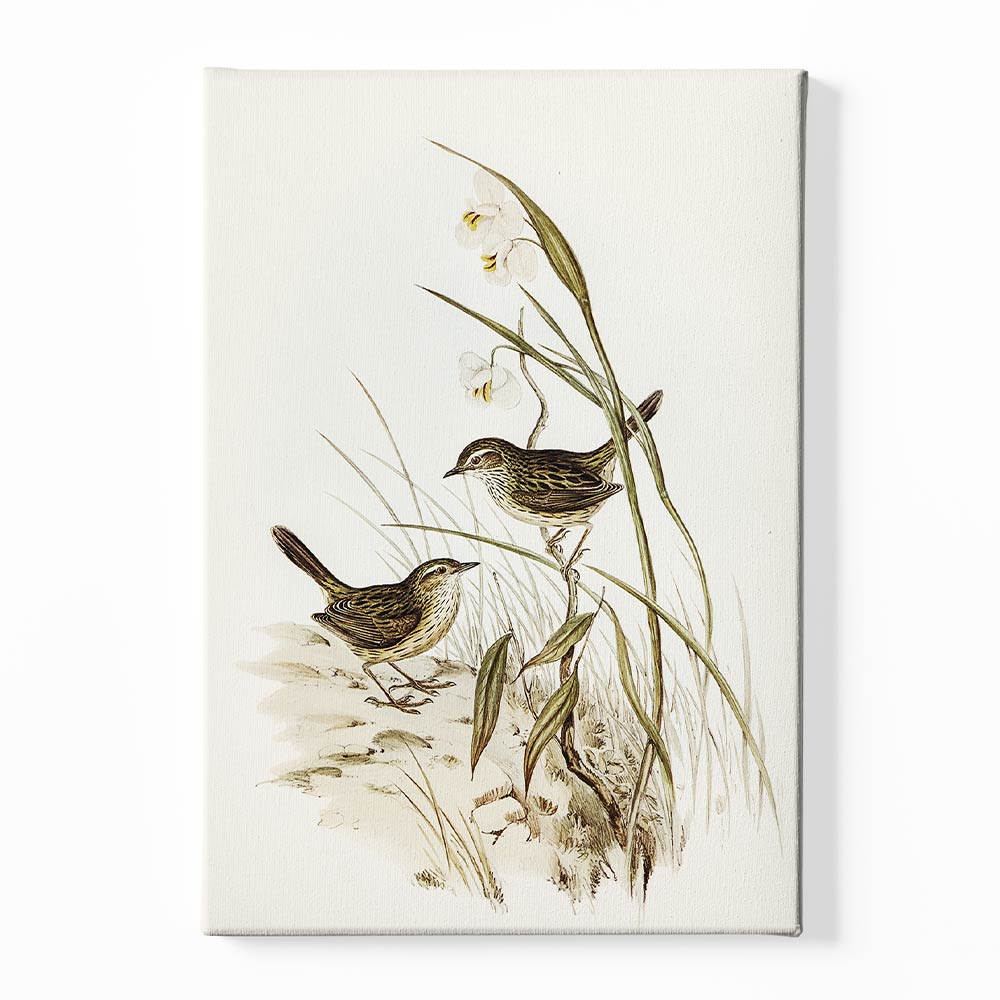 Sparrow Canvas acrylic canvas Frames