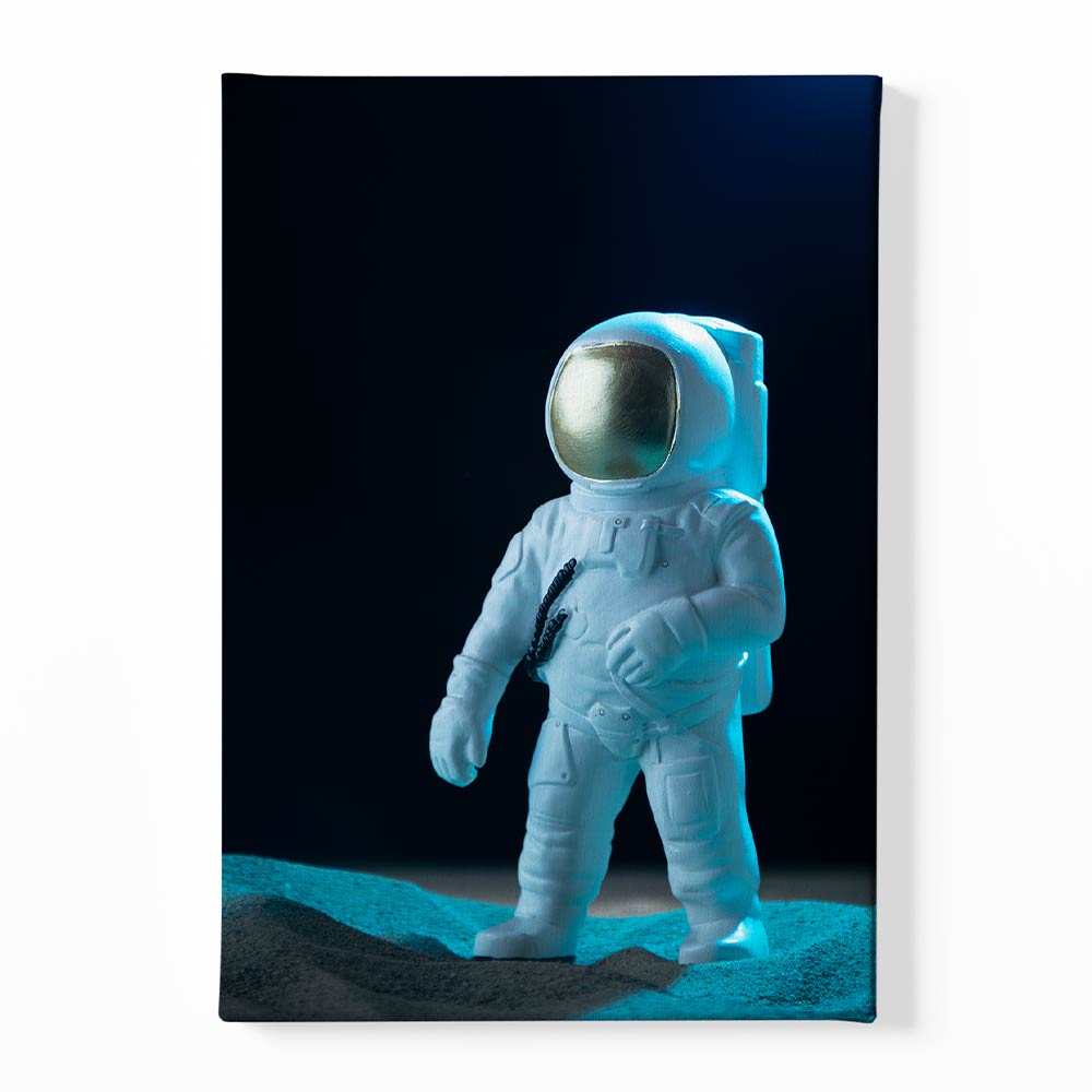 Astronaut Canvas acrylic canvas Frames