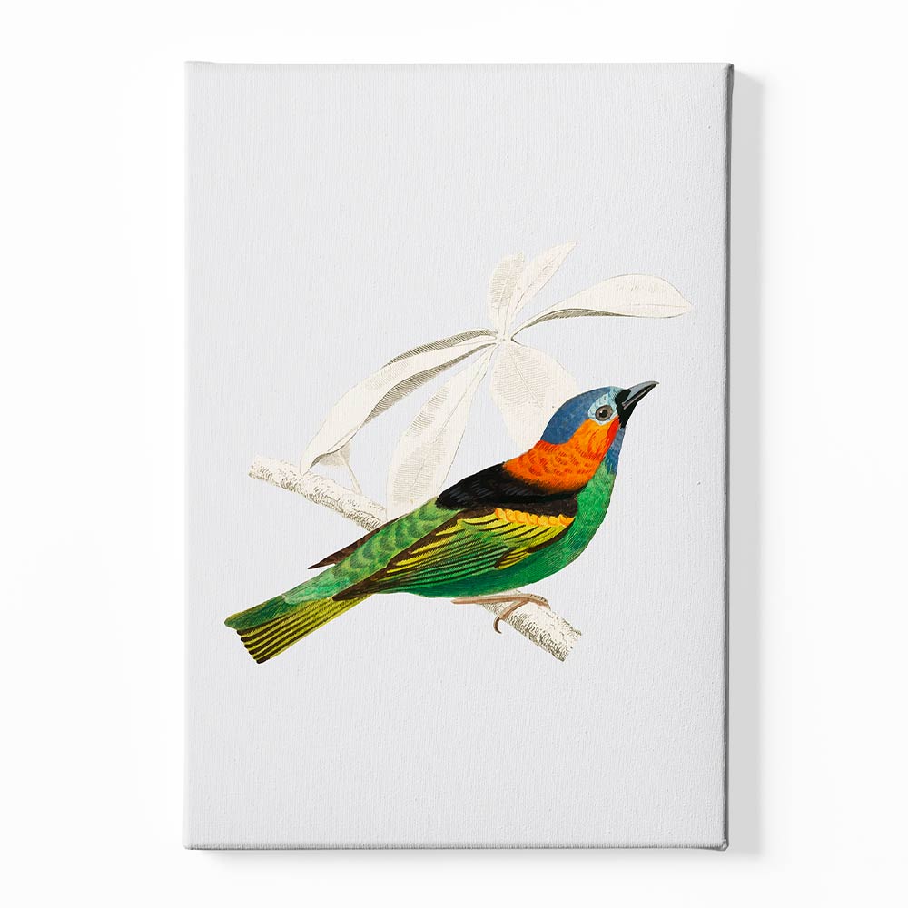 River warbler Canvas acrylic canvas Frames