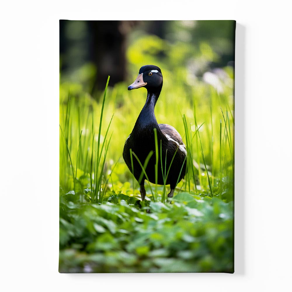 Duck Canvas acrylic canvas Frames