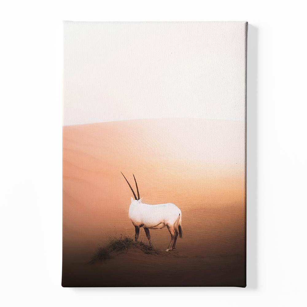 Desert animal Canvas acrylic canvas Frames