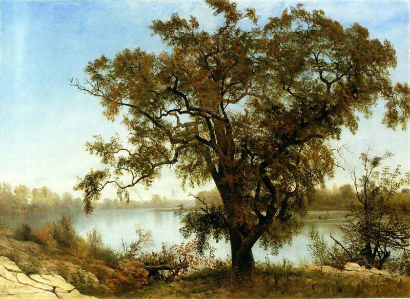 Albert Bierstadt – View from Sacramento