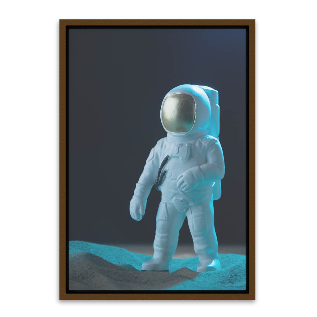 Astronaut Brown Canvas frame acrylic canvas Frames