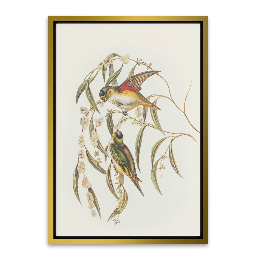 Baby Parrot Gold Canvas frame acrylic canvas Frames