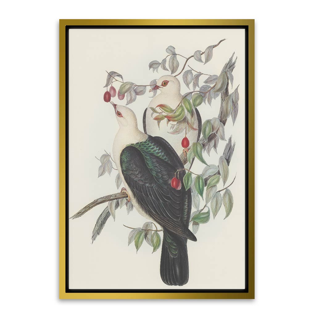 White Head Pigeon Gold Canvas frame acrylic canvas Frames