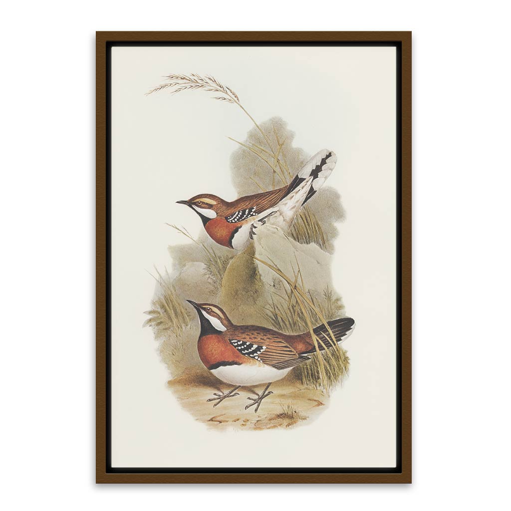 Antique bird Brown Canvas frame acrylic canvas Frames