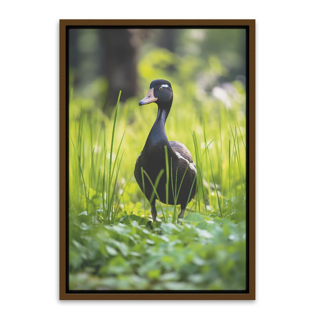 Duck Brown Canvas frame acrylic canvas Frames