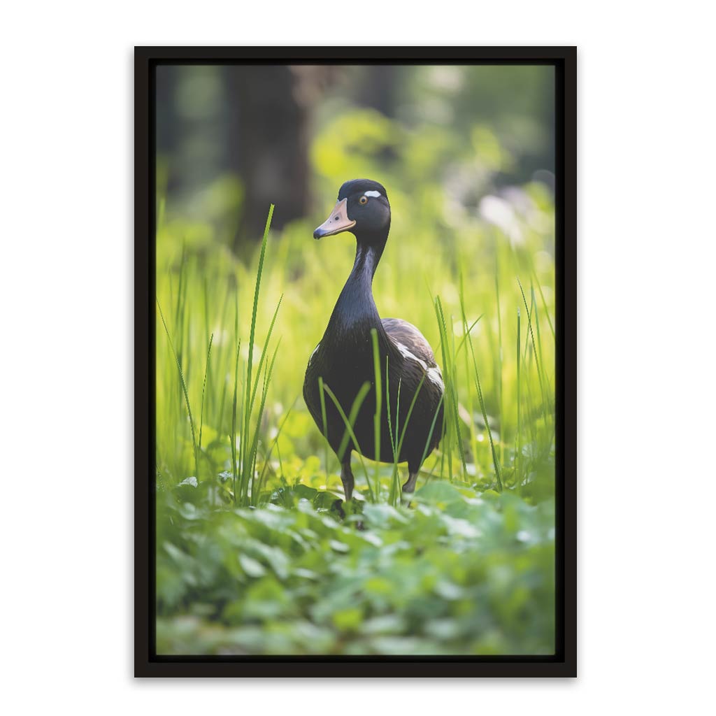 Duck Black Canvas frame acrylic canvas Frames