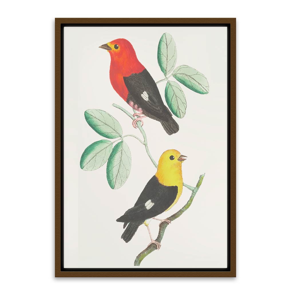 Colourful bird Brown Canvas frame acrylic canvas Frames