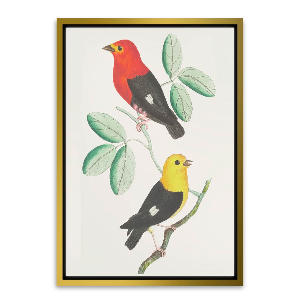 Colourful bird Gold Canvas frame acrylic canvas Frames