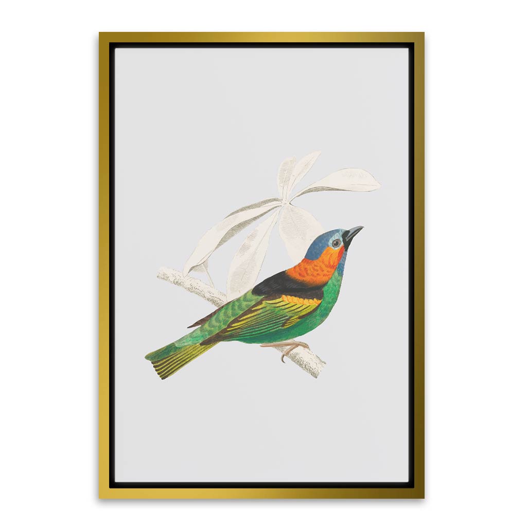 River warbler Gold Canvas frame acrylic canvas Frames