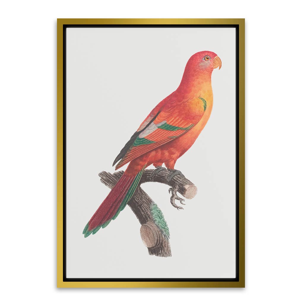 Shining Parrot Gold Canvas frame acrylic canvas Frames