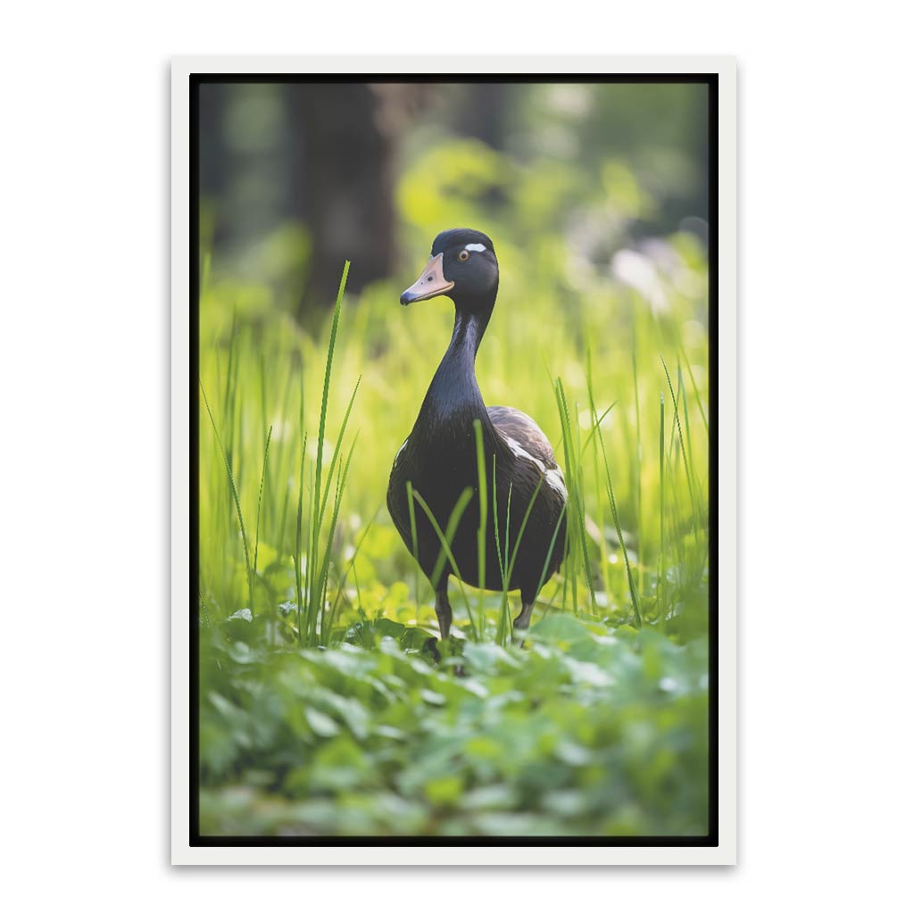 Duck White Canvas frame acrylic canvas Frames