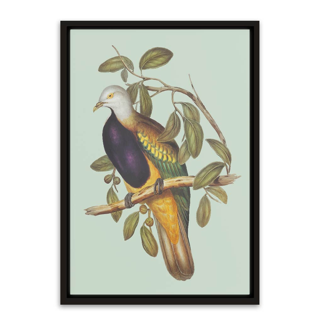 Pigeon Canvas frame acrylic canvas Frames