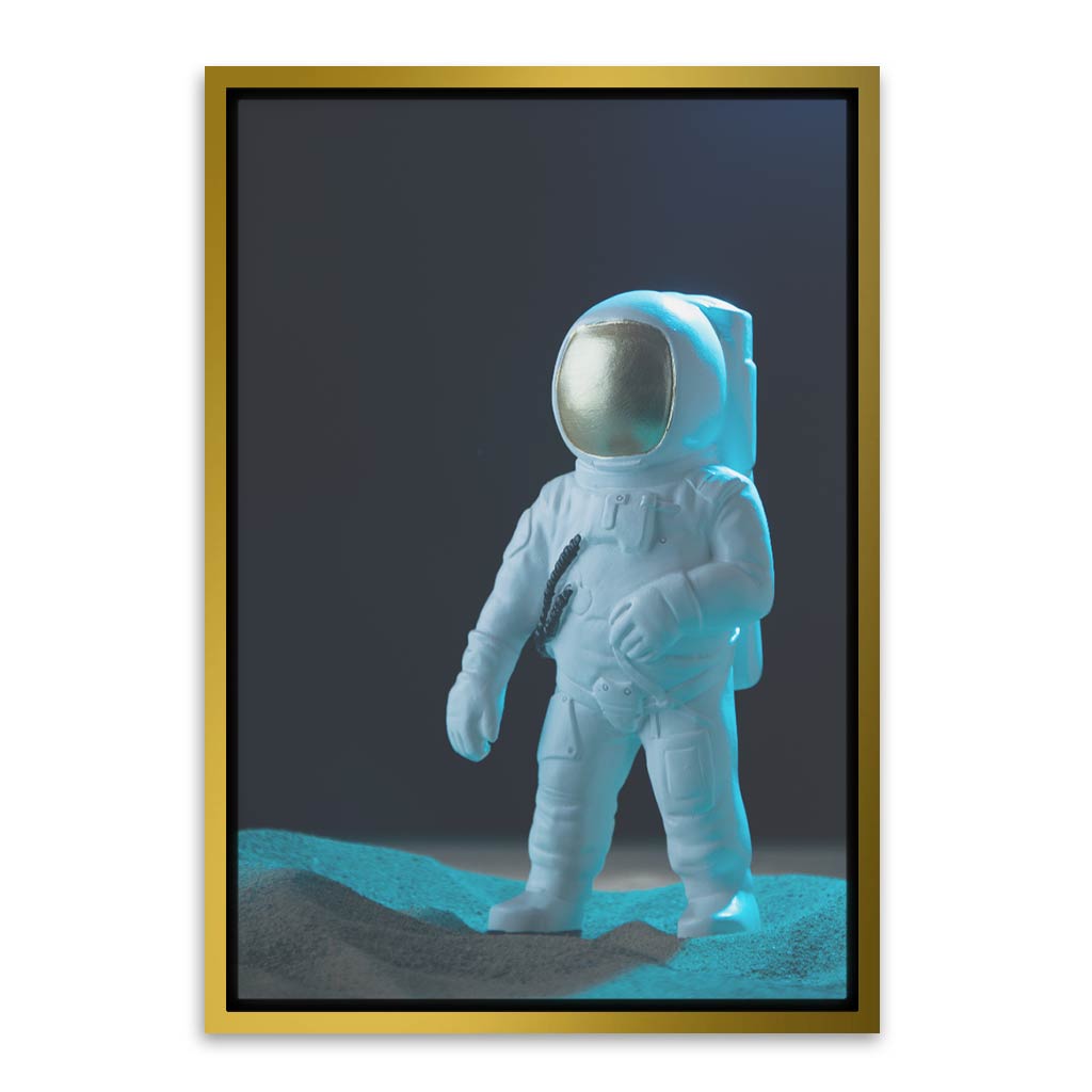 Astronaut Gold Canvas frame acrylic canvas Frames