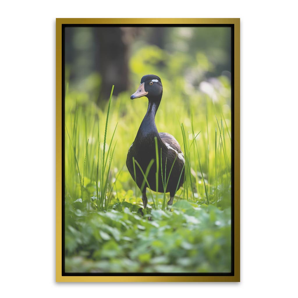 Duck Gold Canvas frame acrylic canvas Frames