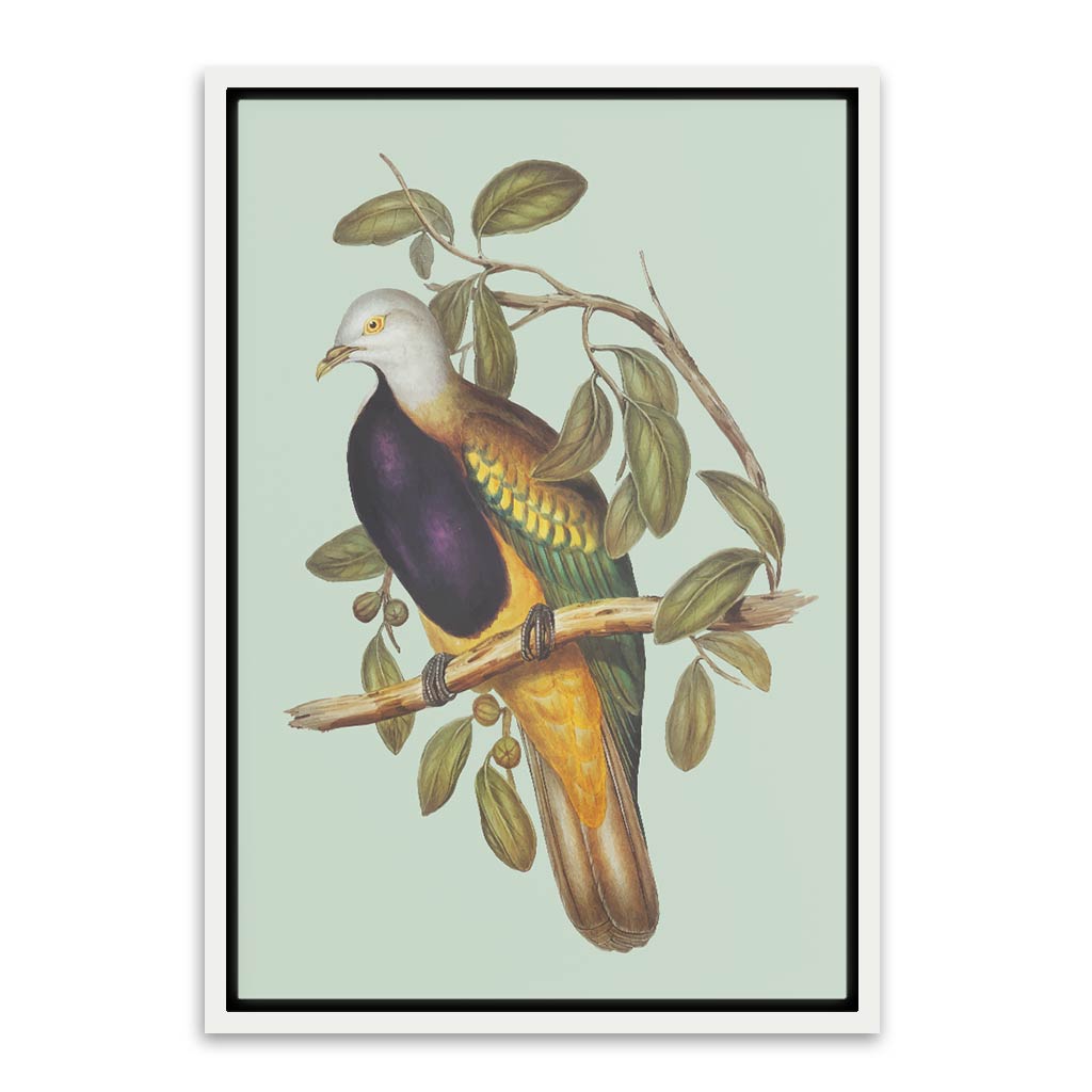 Pigeon White Canvas frame acrylic canvas Frames