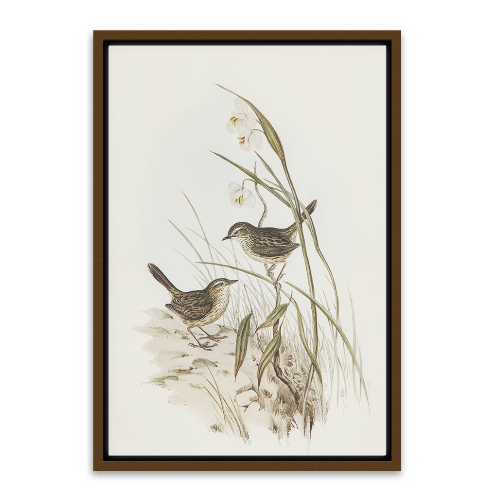 Sparrow Brown Canvas frame acrylic canvas Frames