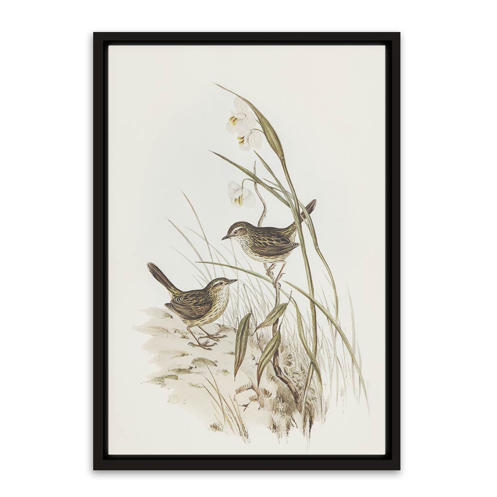 Sparrow Black Canvas frame acrylic canvas Frames