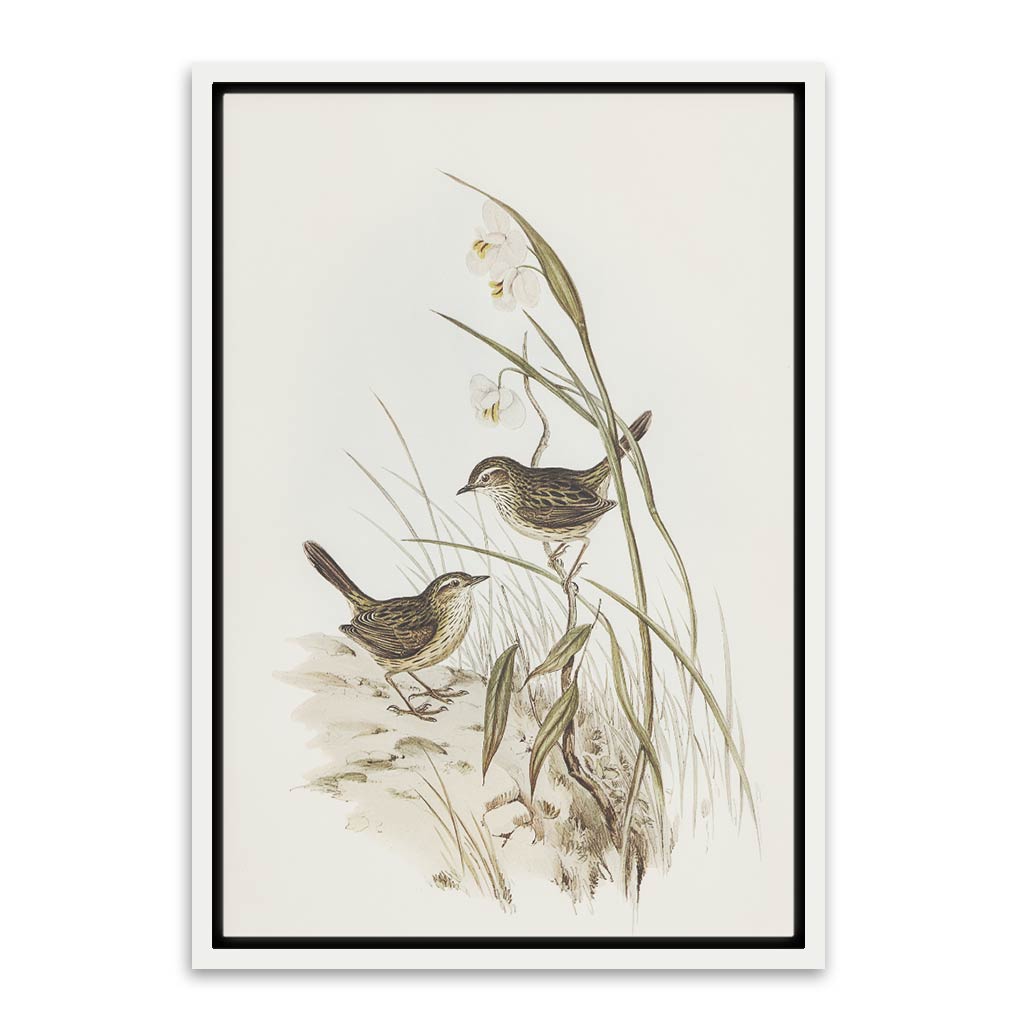 Sparrow White Canvas frame acrylic canvas Frames