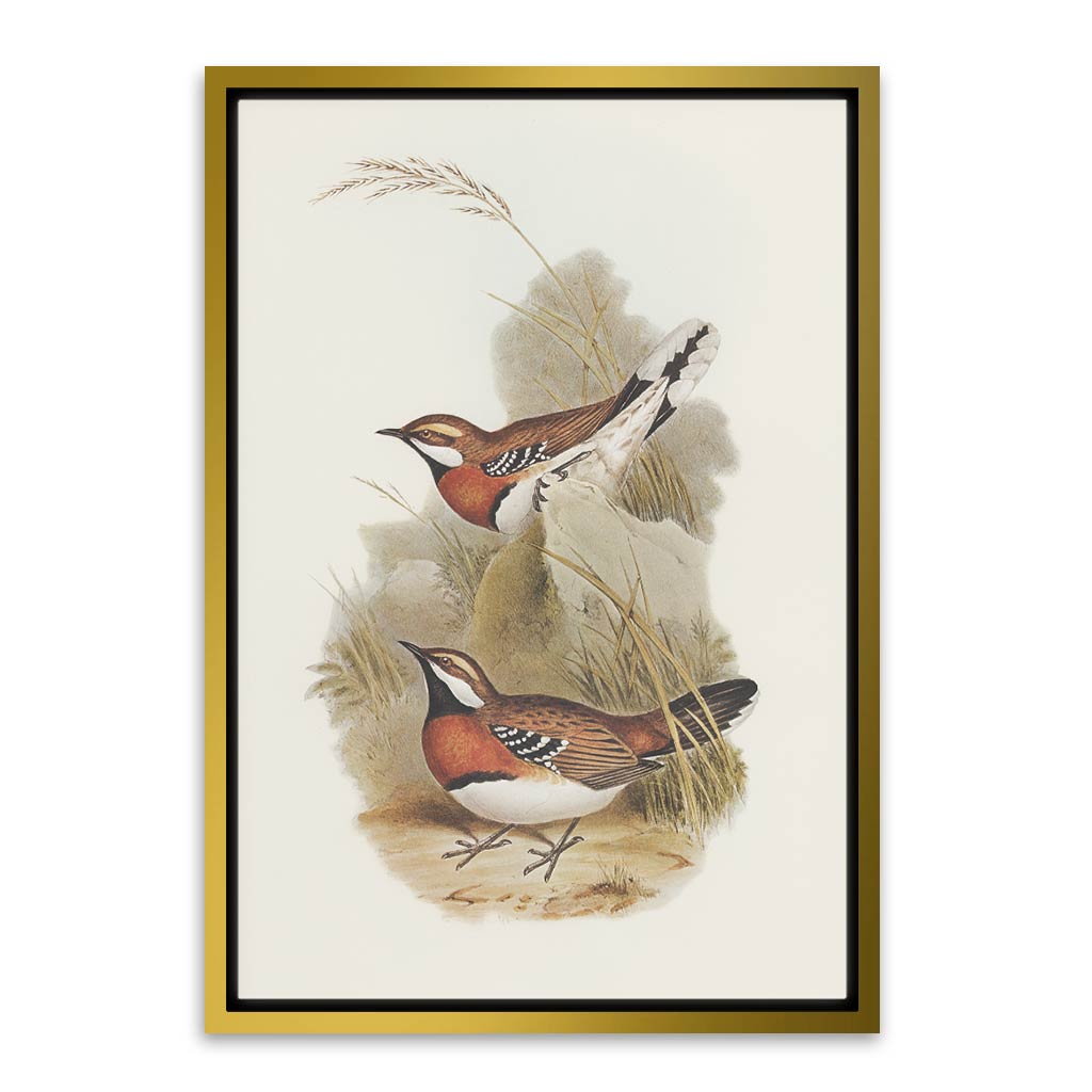 Antique bird Gold Canvas frame acrylic canvas Frames