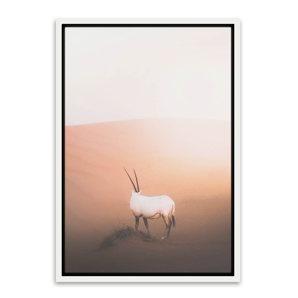 Desert animal White Canvas frame acrylic canvas Frames