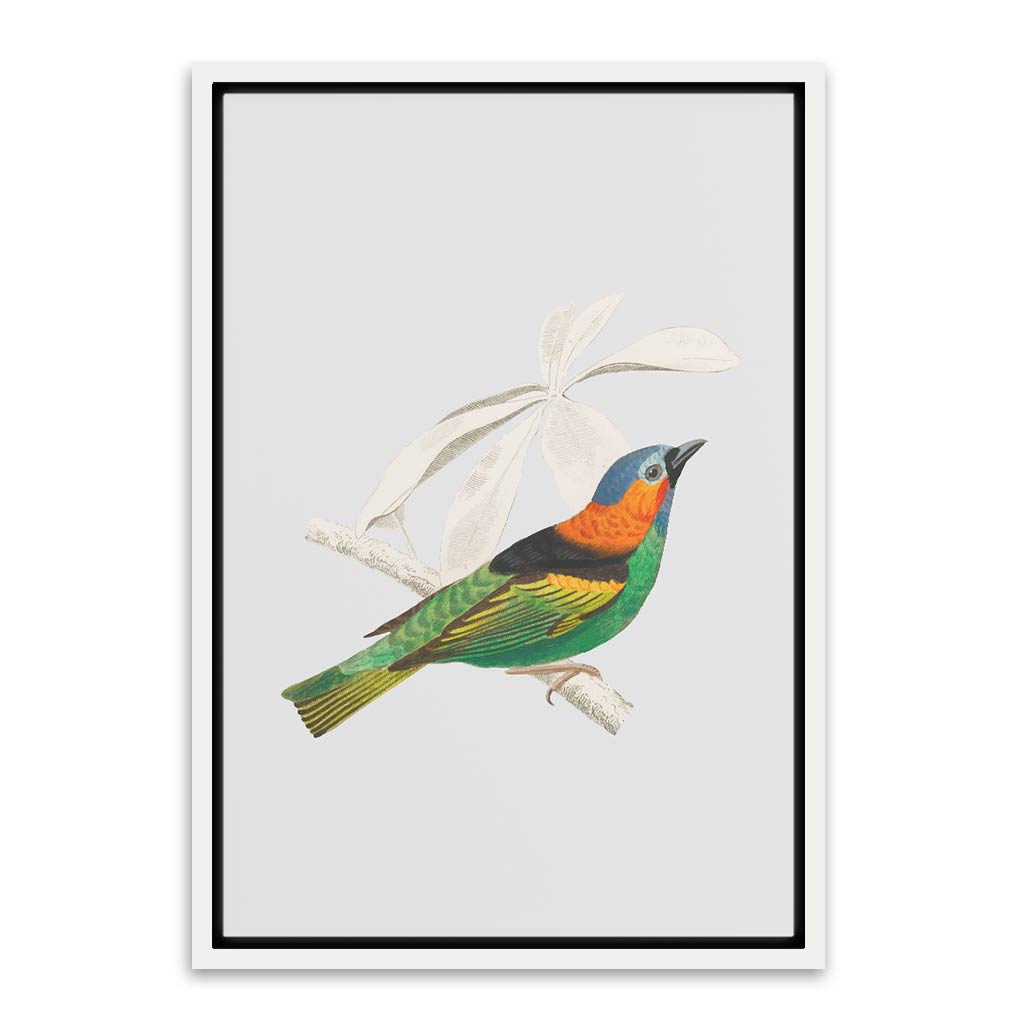 River warbler White Canvas frame acrylic canvas Frames