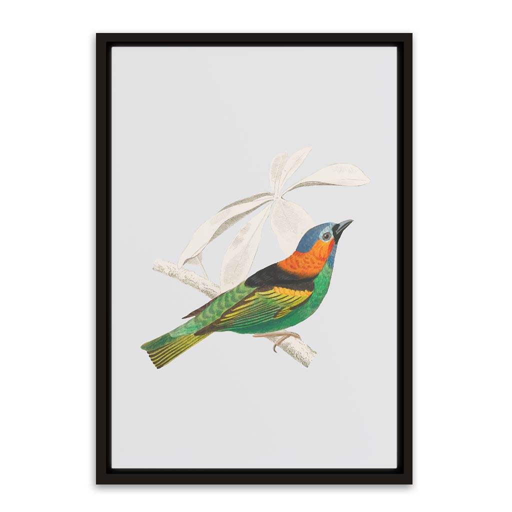 River warbler Black Canvas frame acrylic canvas Frames