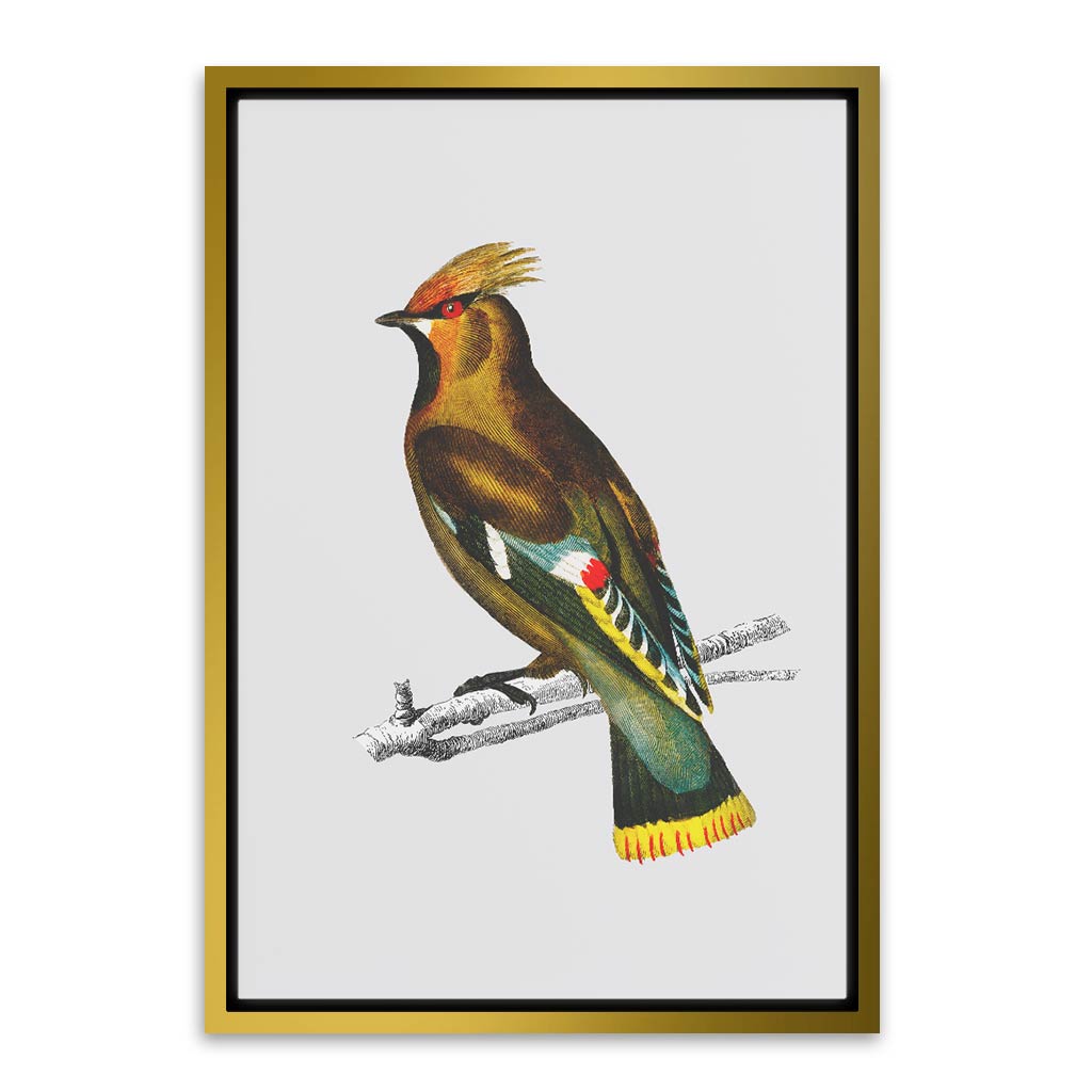 Bohemian waxwing Gold Canvas frame acrylic canvas Frames