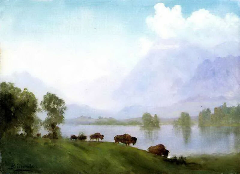 Albert Bierstadt – Buffalo Country 50X135 Canvas
