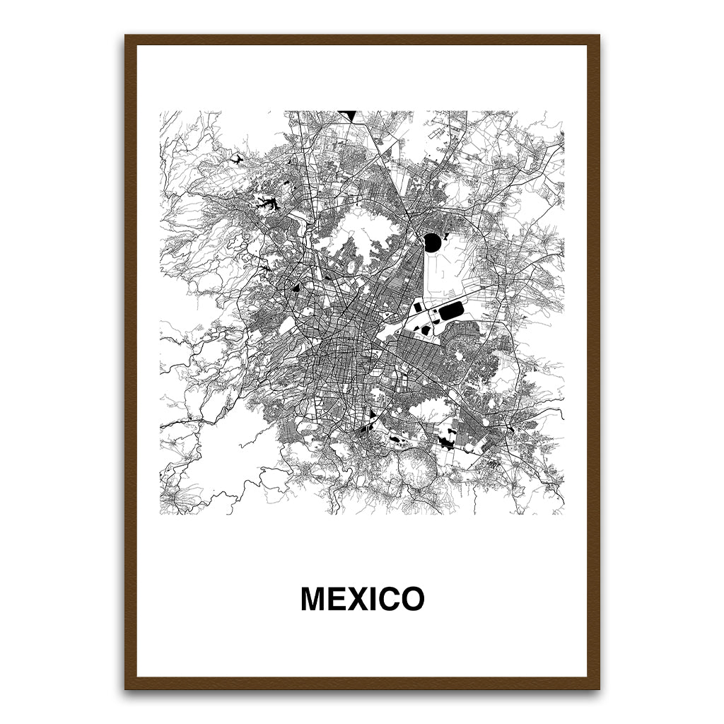 Mexico Brown Printed frame acrylic canvas Frames