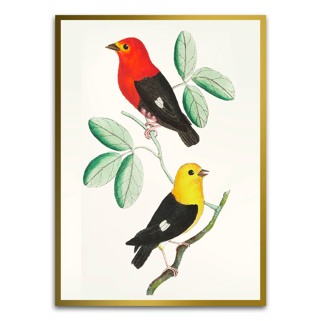 Colourful bird Gold Printed frame acrylic canvas Frames