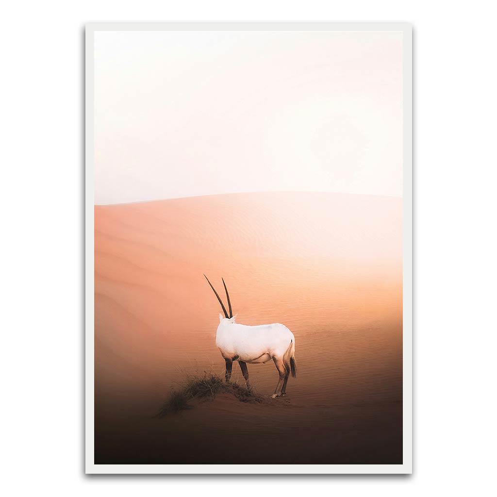 Desert animal White Printed frame acrylic canvas Frames