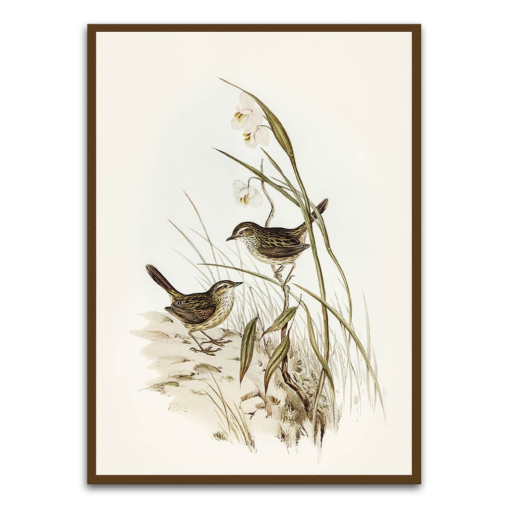 Sparrow Brown Printed frame acrylic canvas Frames