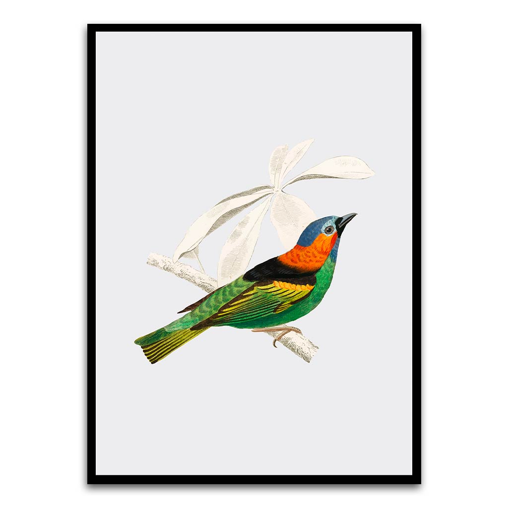 River warbler Black Printed frame acrylic canvas Frames