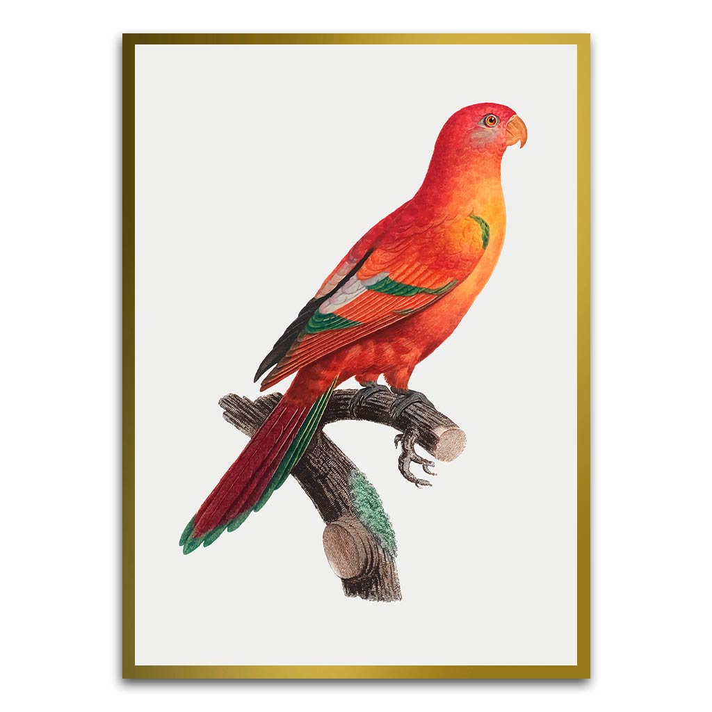 Shining Parrot Gold Printed frame acrylic canvas Frames