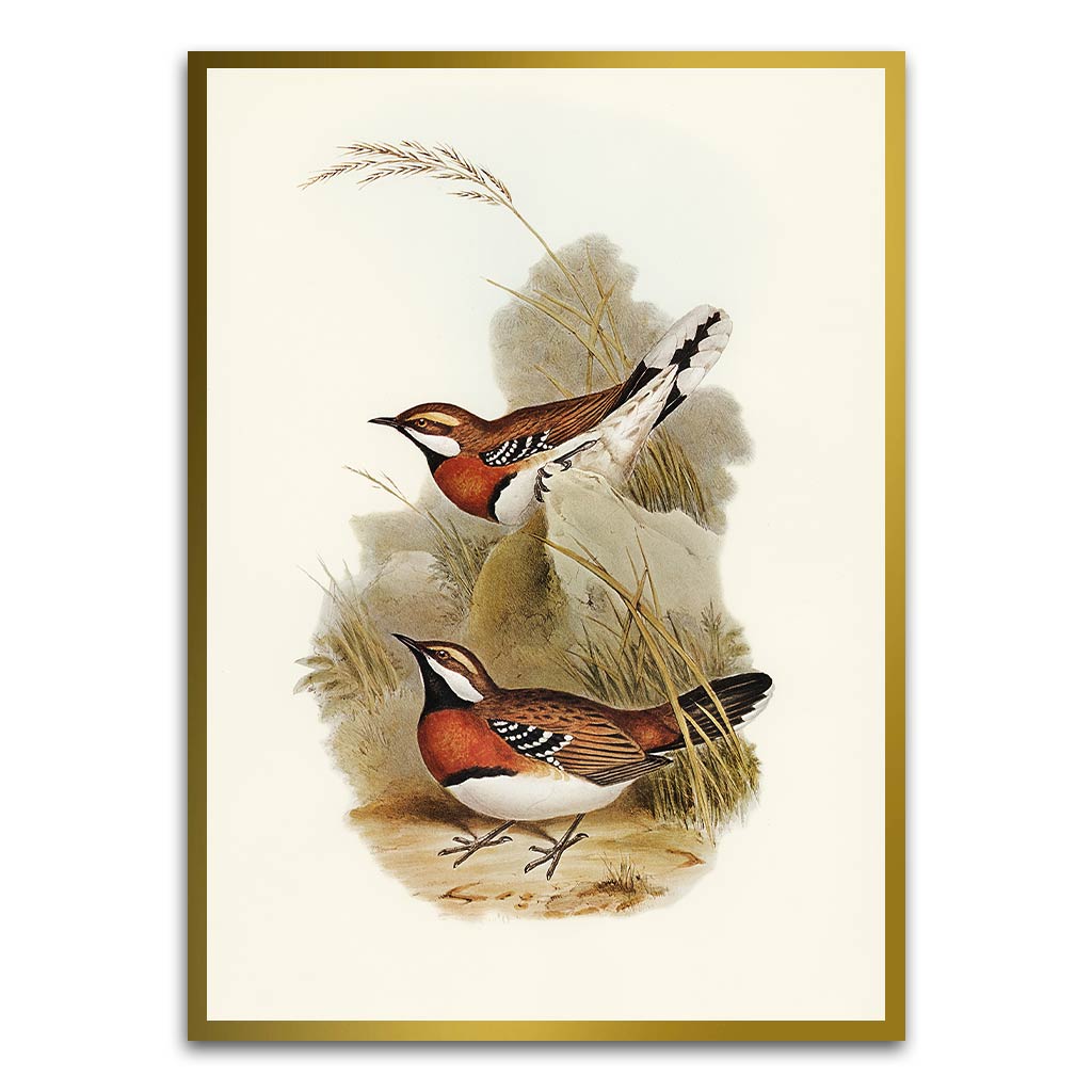 Antique bird Gold Printed frame acrylic canvas Frames