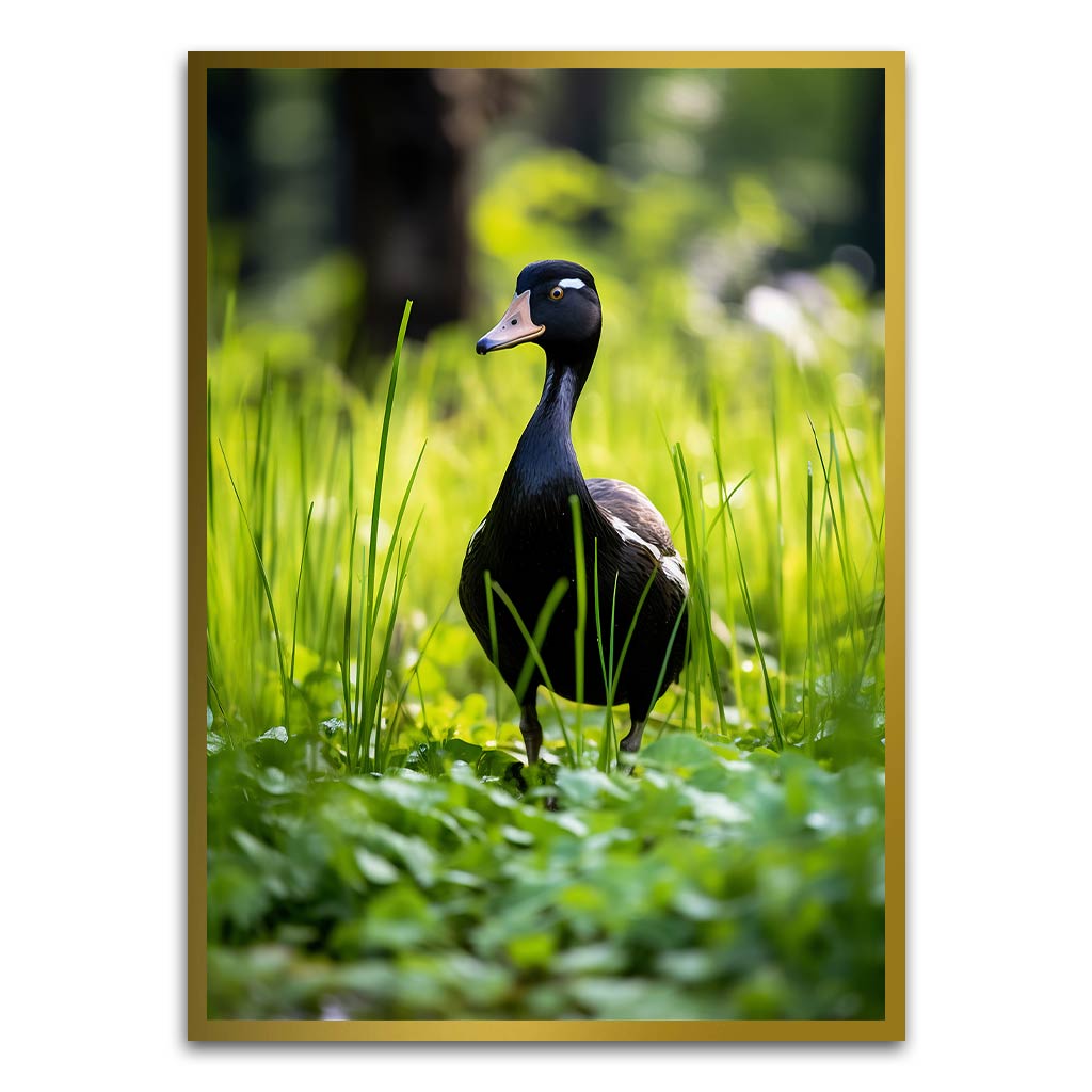 Duck Gold Printed frame acrylic canvas Frames