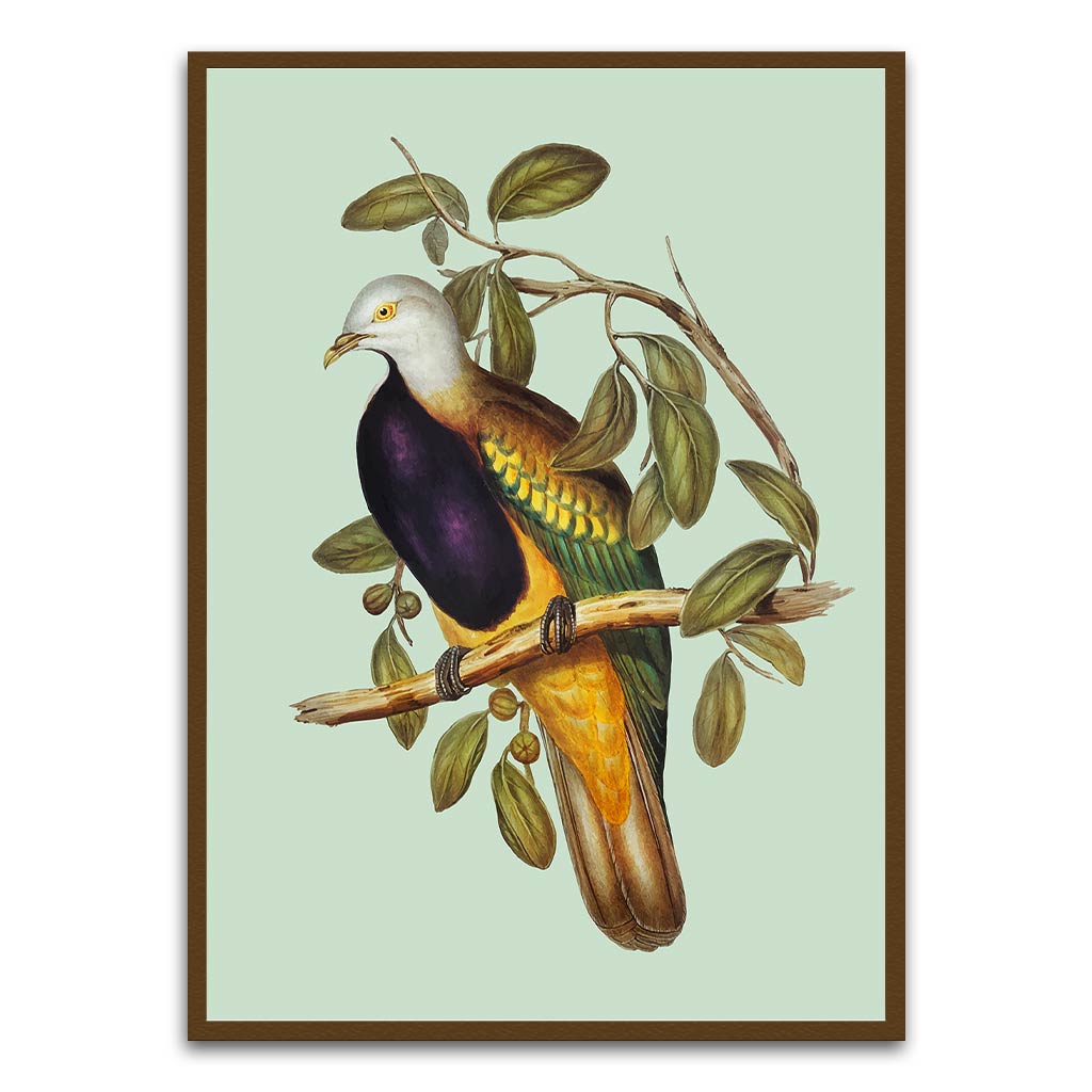 Pigeon Brown Canvas acrylic canvas Frames