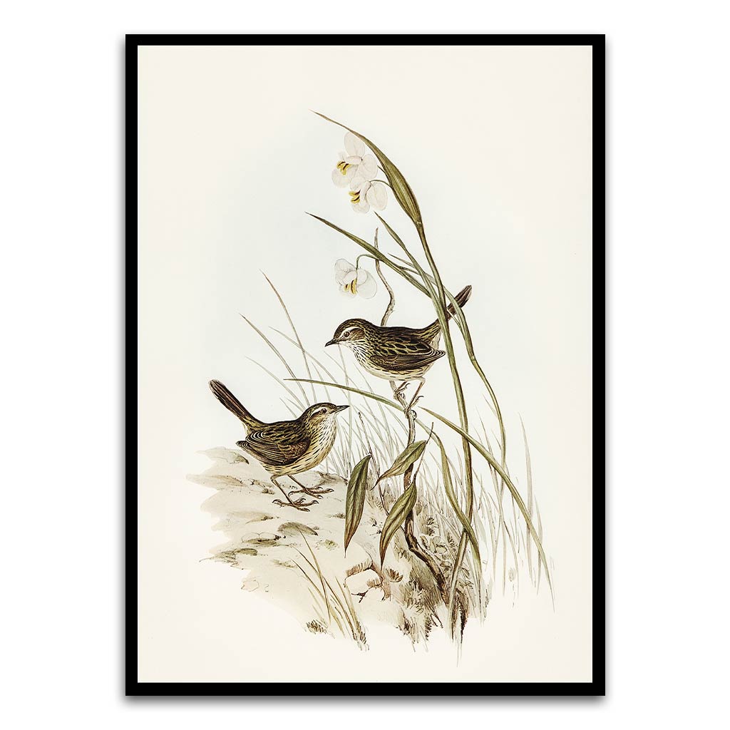 Sparrow Black Printed frame acrylic canvas Frames