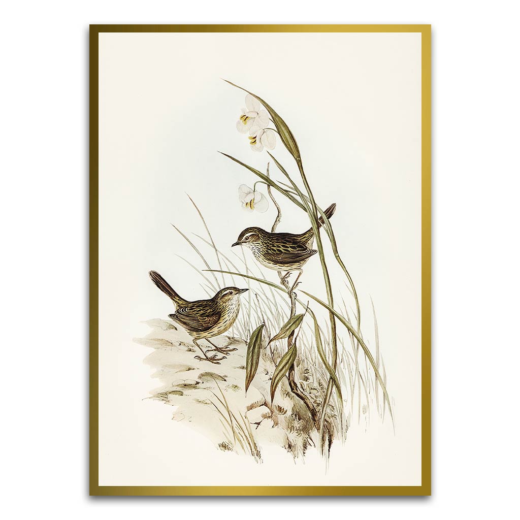 Sparrow Gold Printed frame acrylic canvas Frames