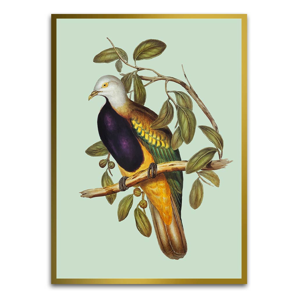 Pigeon Gold Canvas acrylic canvas Frames